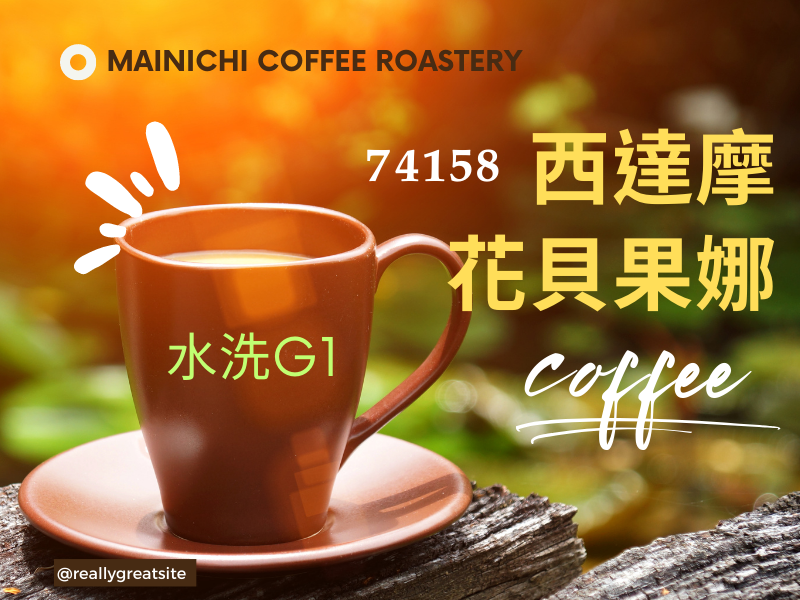 西達摩 花貝果娜G1 74158淺焙 水洗