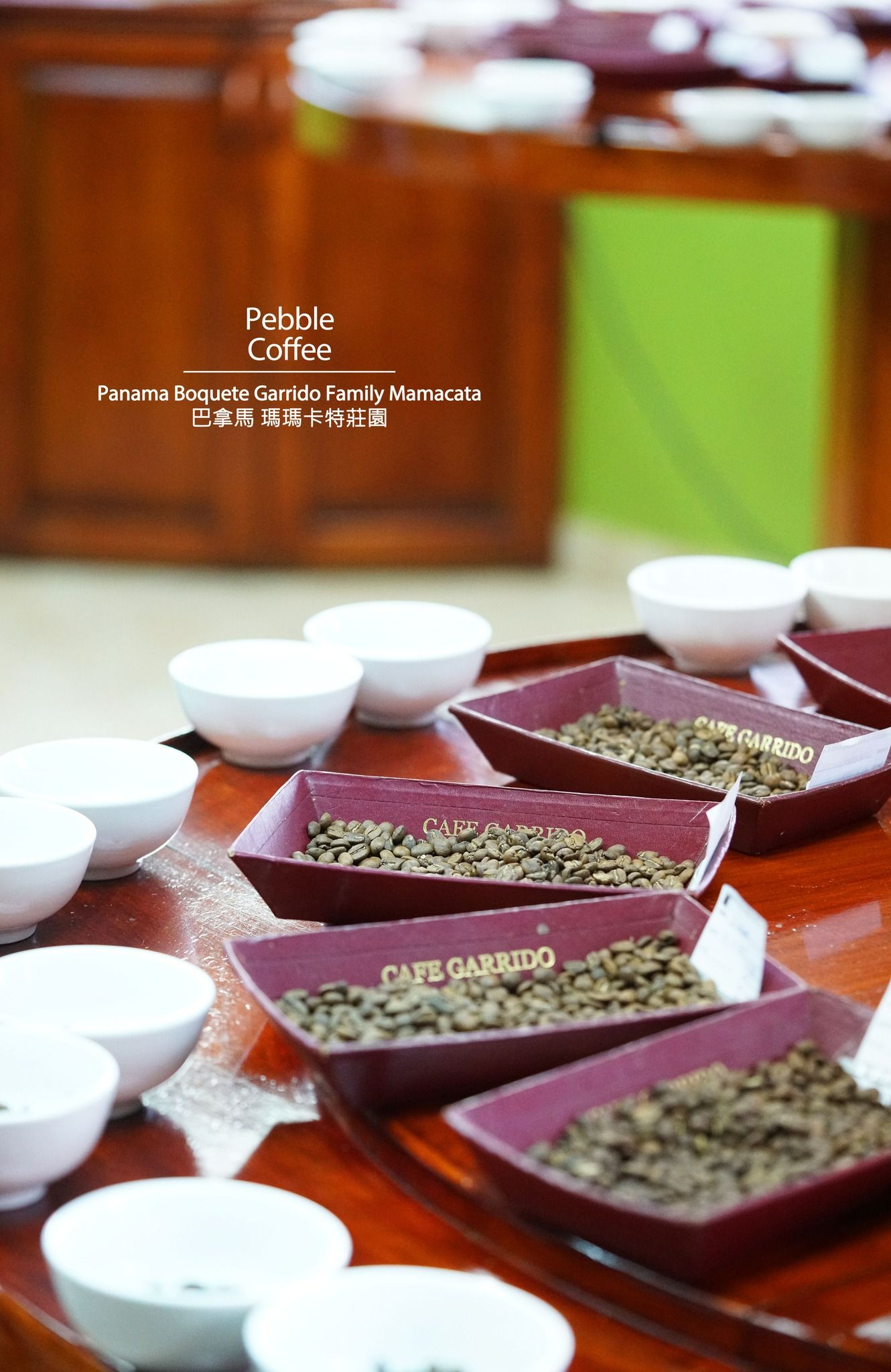 巴拿馬 波魁特 瑪瑪卡特莊園 收穫地塊 瑰夏/藝伎 geisha