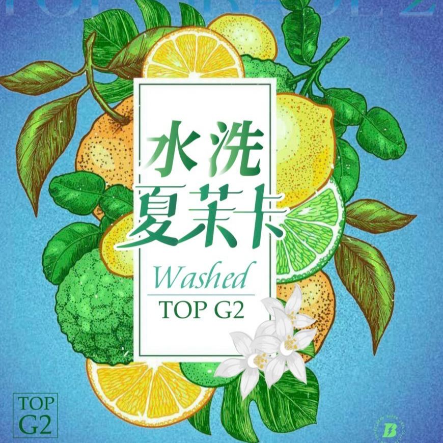 淺中焙/水洗/耶加雪菲/夏茉卡/頂級 TOP G2