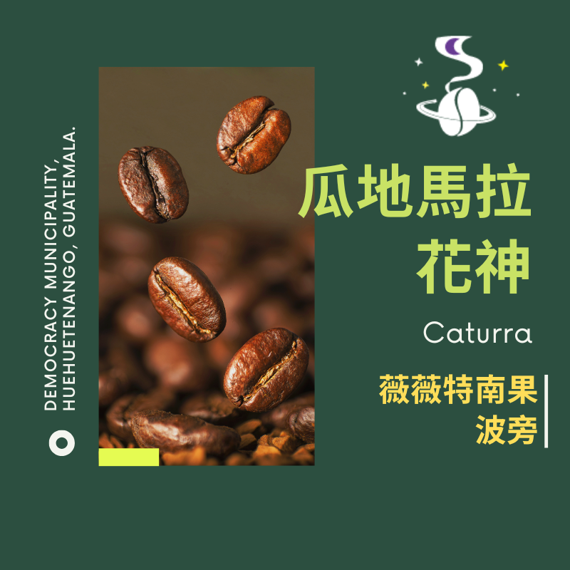 瓜地馬拉 聖安東尼奧 日曬 薇薇特南果 中焙