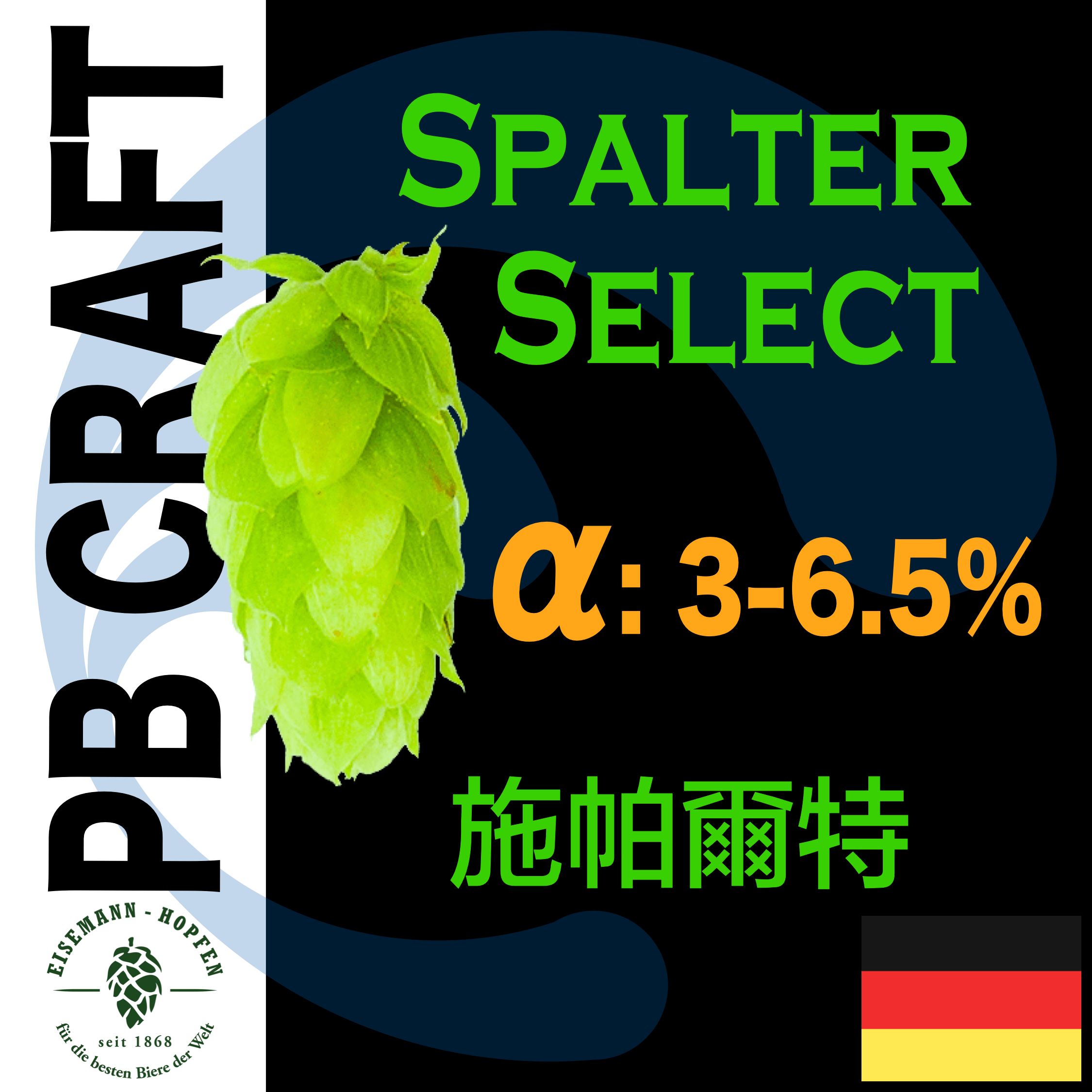 Hops 施帕爾特 Spalter Select （香氣）