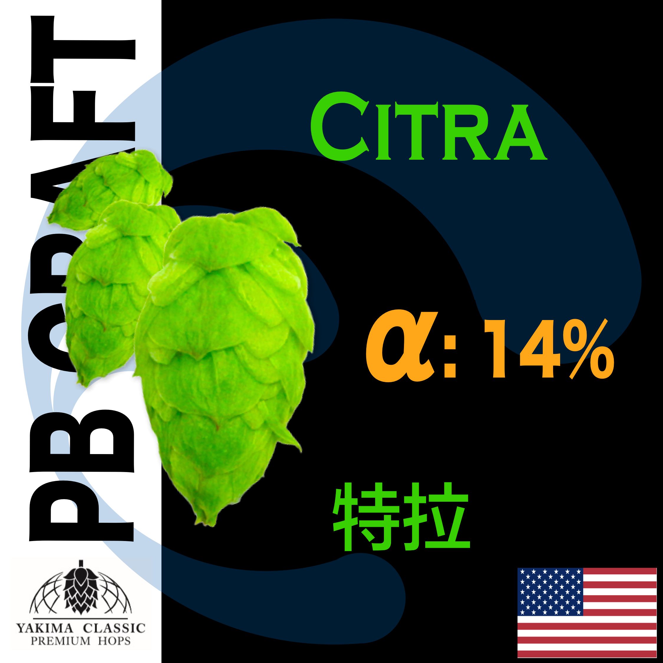 Hops 特拉 Citra （香氣和苦味）