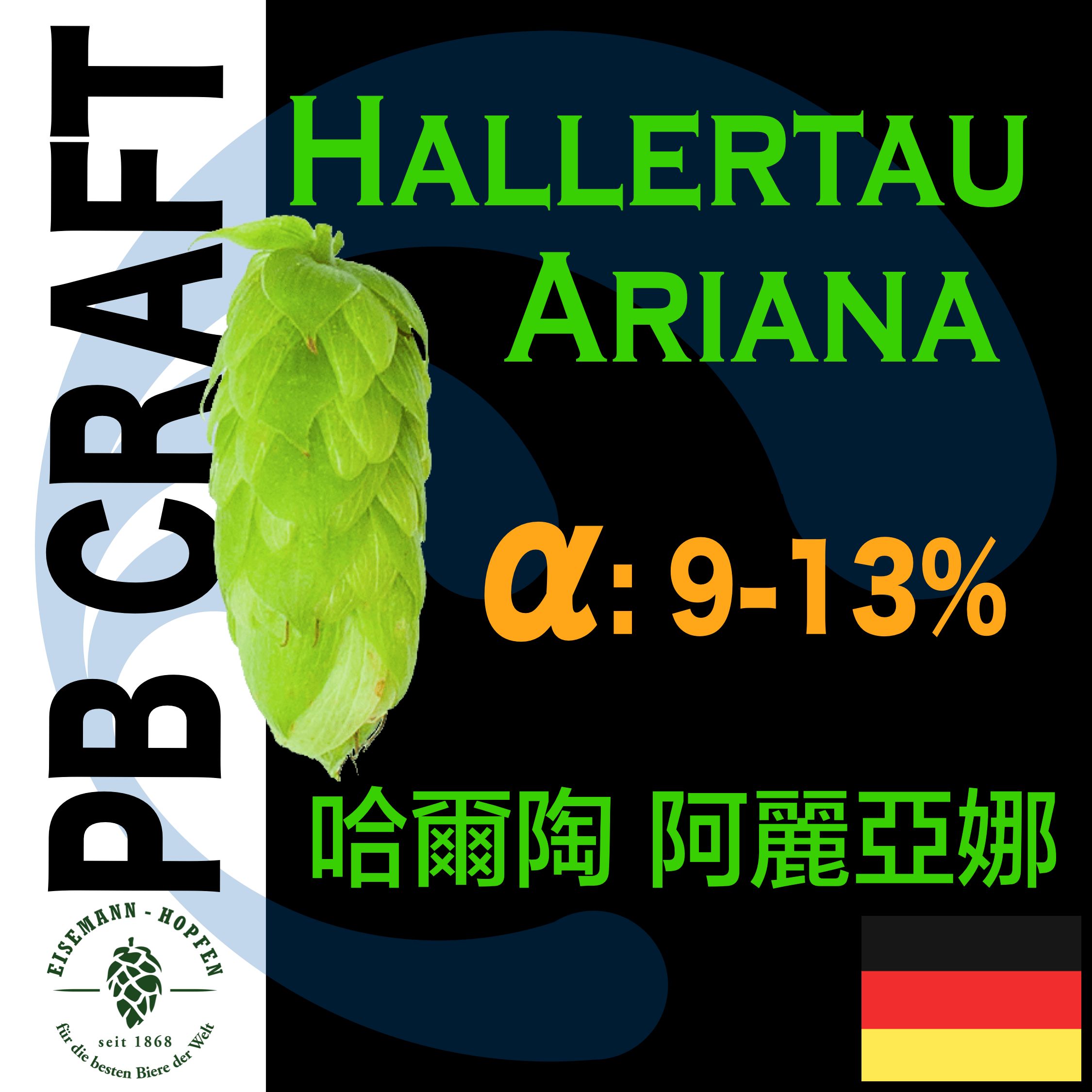 Hops 哈爾陶 阿麗亞娜 Hallertauer Ariana （香氣和苦味）