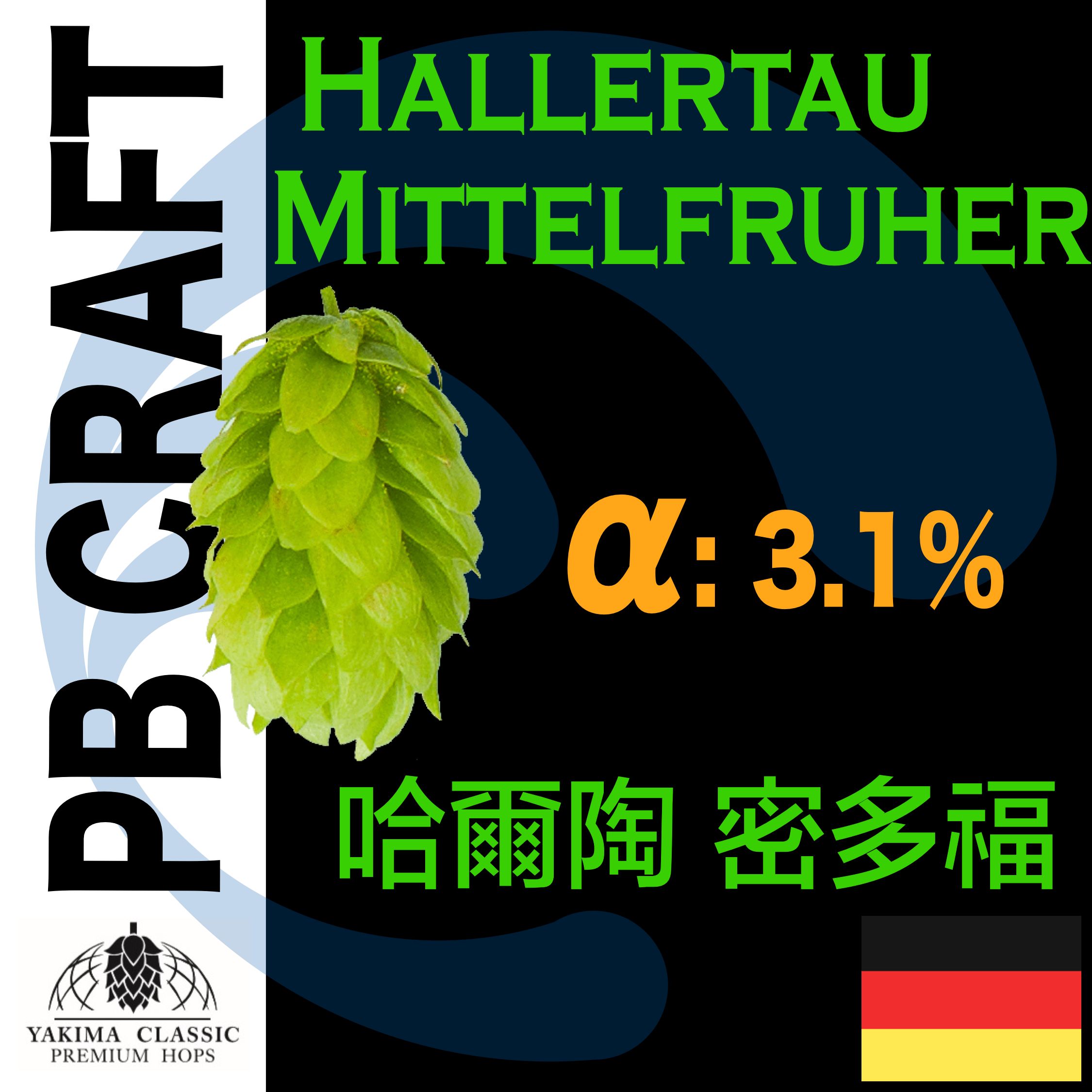 Hops 哈爾陶 密多福 Hallertau Mittelfrüh （香氣和苦味）