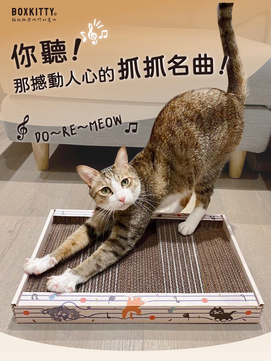 鋼琴貓抓板 BOXKITTY 貓抓板與他們的產地