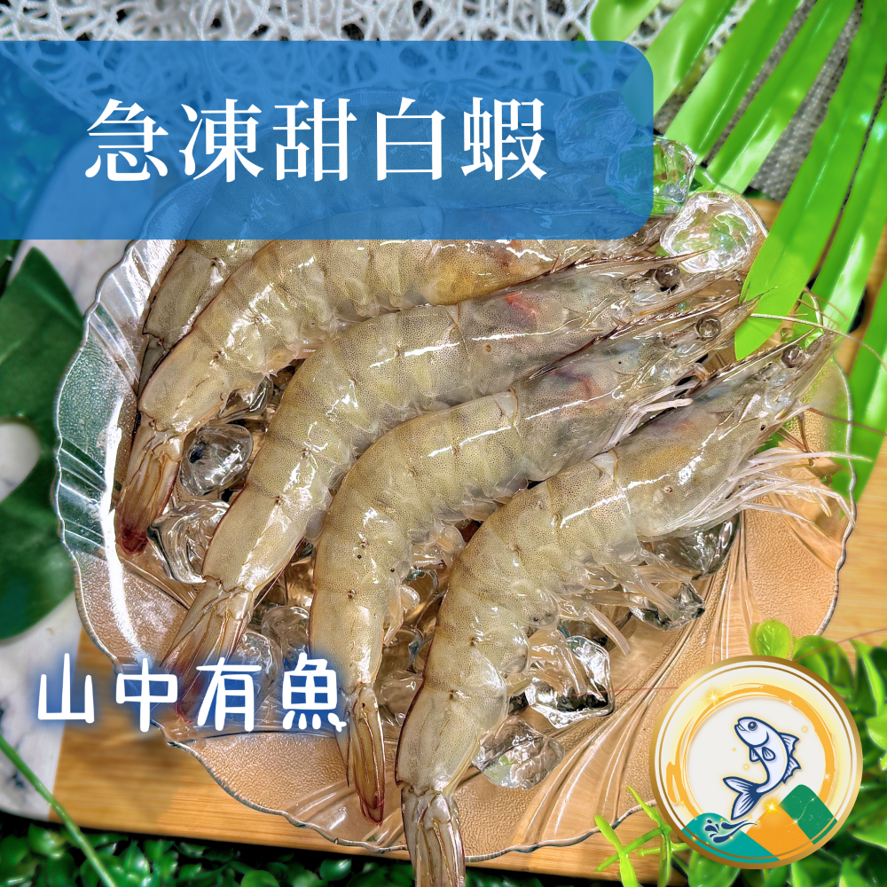 【極黑嚴選】超大滿足巨無霸手掌蝦！！高品質紅太陽品牌！金選鮮活急凍甜白蝦！