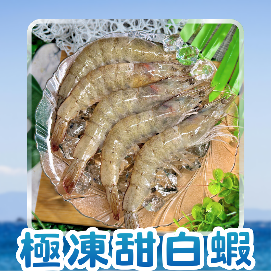 超大滿足巨無霸手掌蝦！！高品質紅太陽品牌！金選鮮活急凍甜白蝦！
