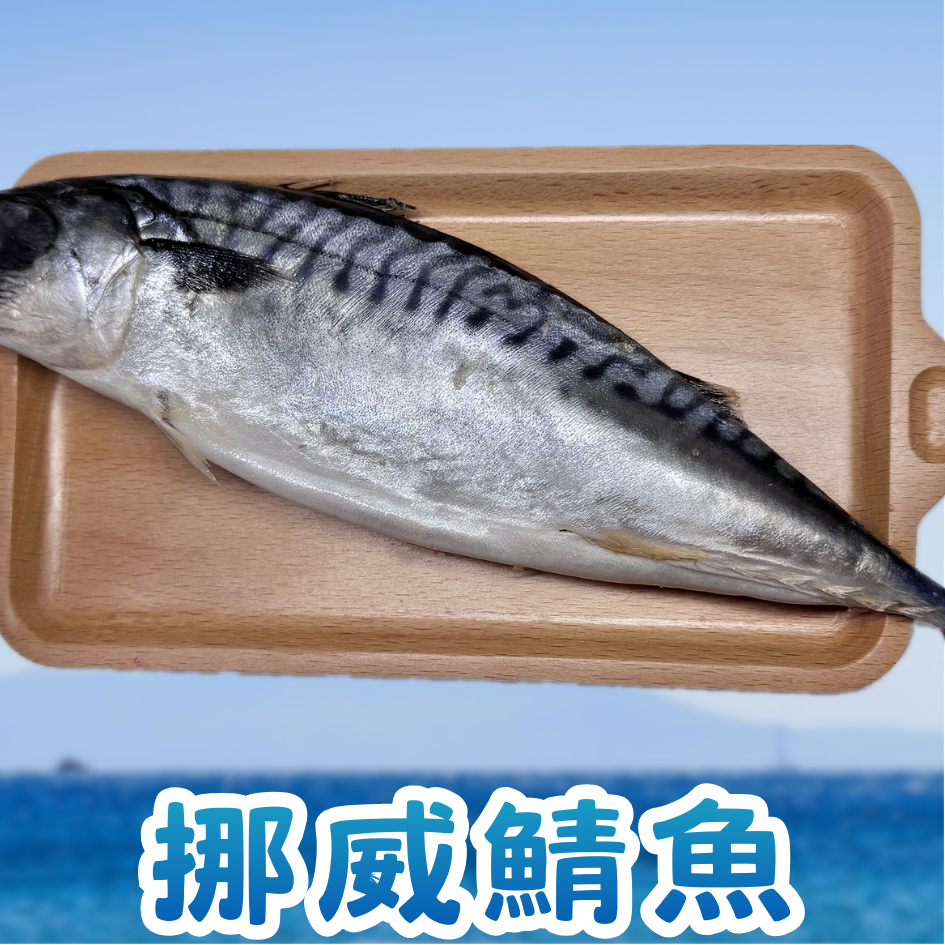 挪威鯖魚片＜無鹽漬＞