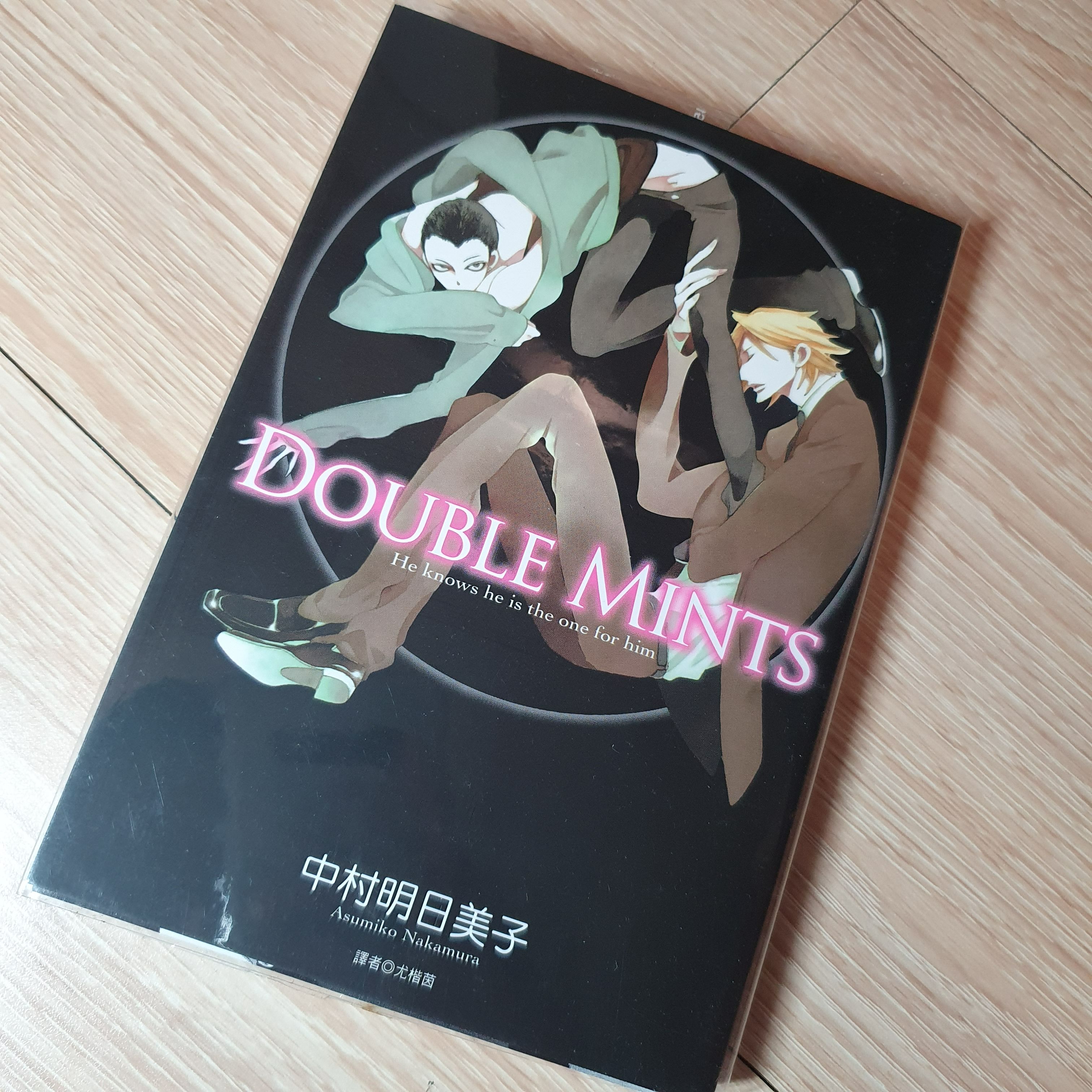 DOUBLE MINTS/中村明日美子