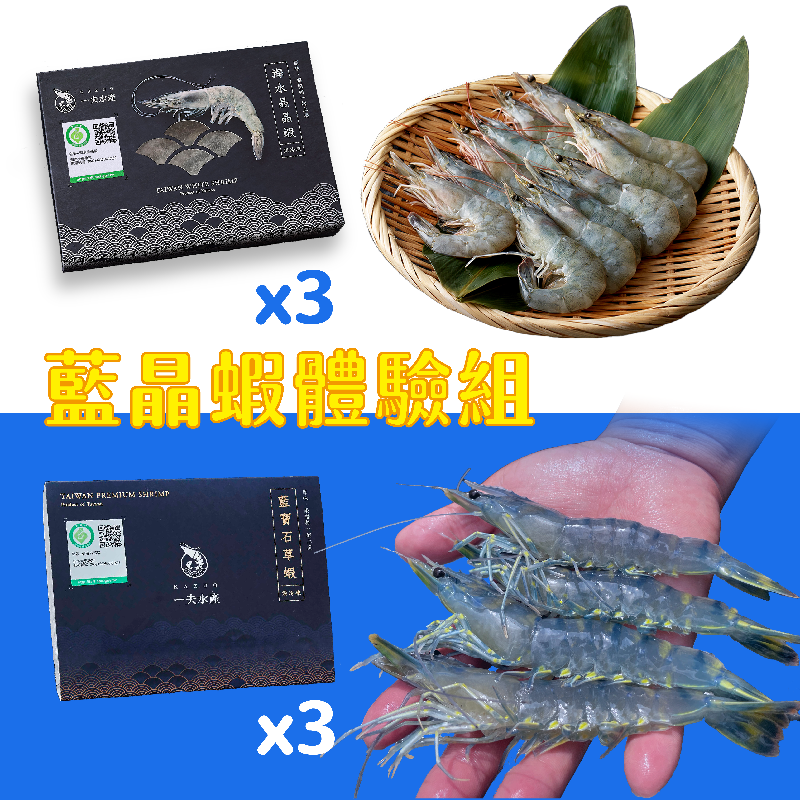 【一夫水產】藍晶蝦體驗組