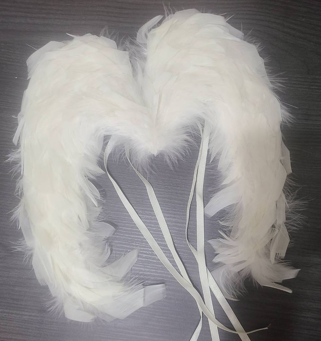 可彎折白色翅膀