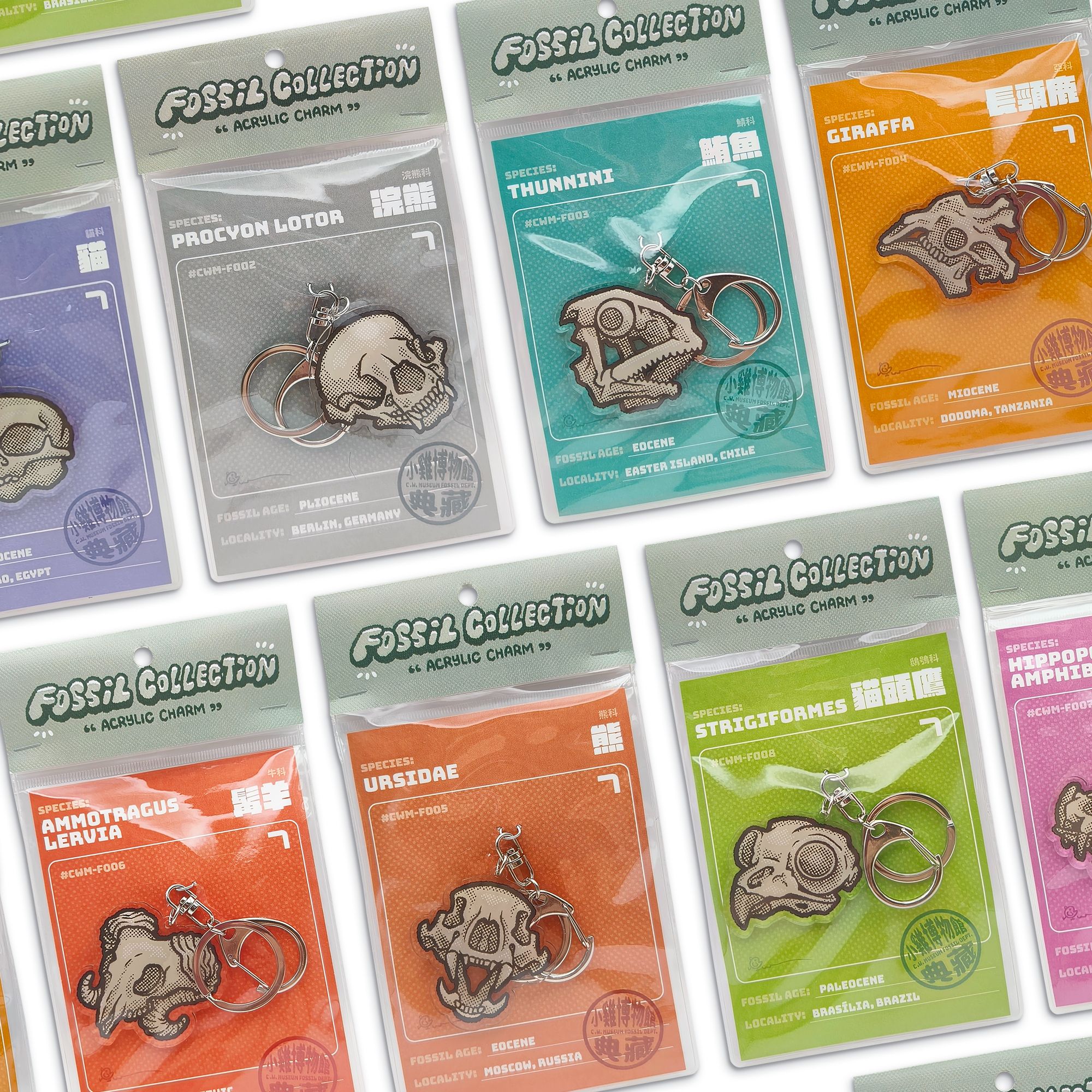 Fossil Collection 化石系列吊飾