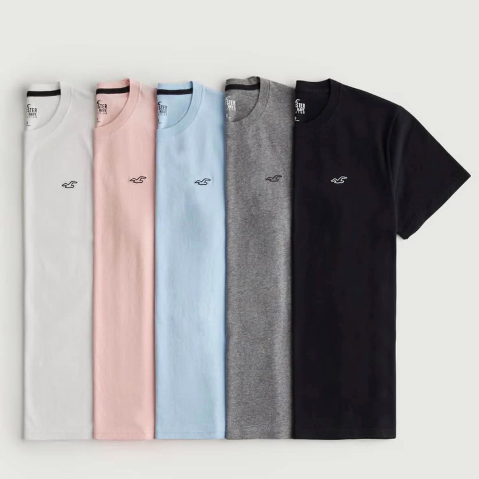 【Hollister】海鷗 簡約款 男素T五件組