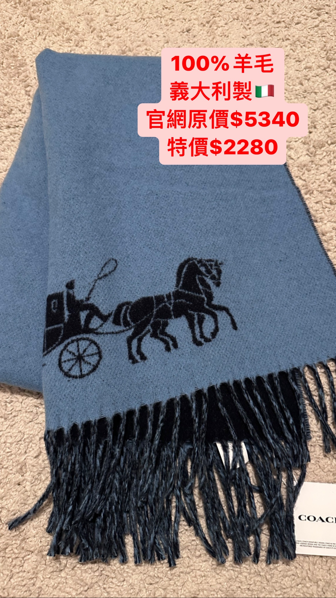 Coach圍巾