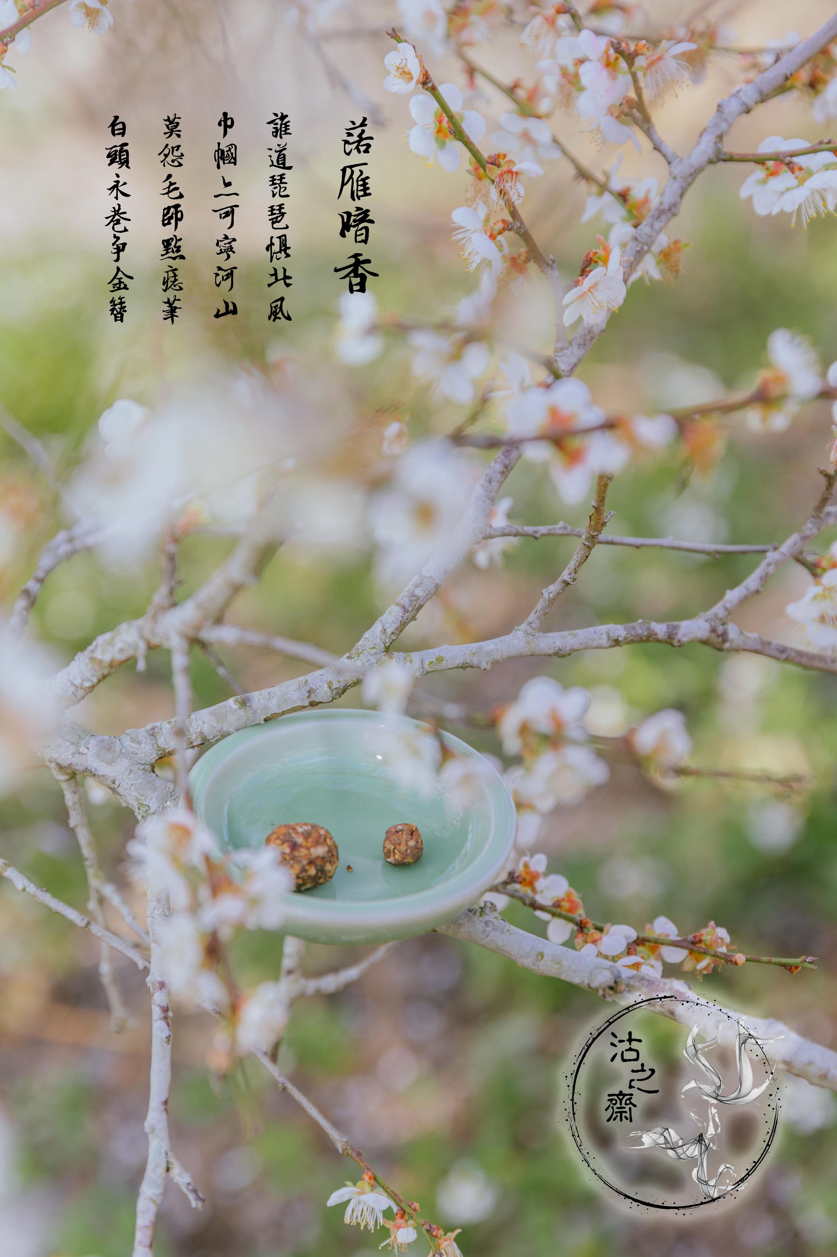 四大美人系列 落雁暗香 香丸香粉 篆香隔火薰香 隨身香 現貨