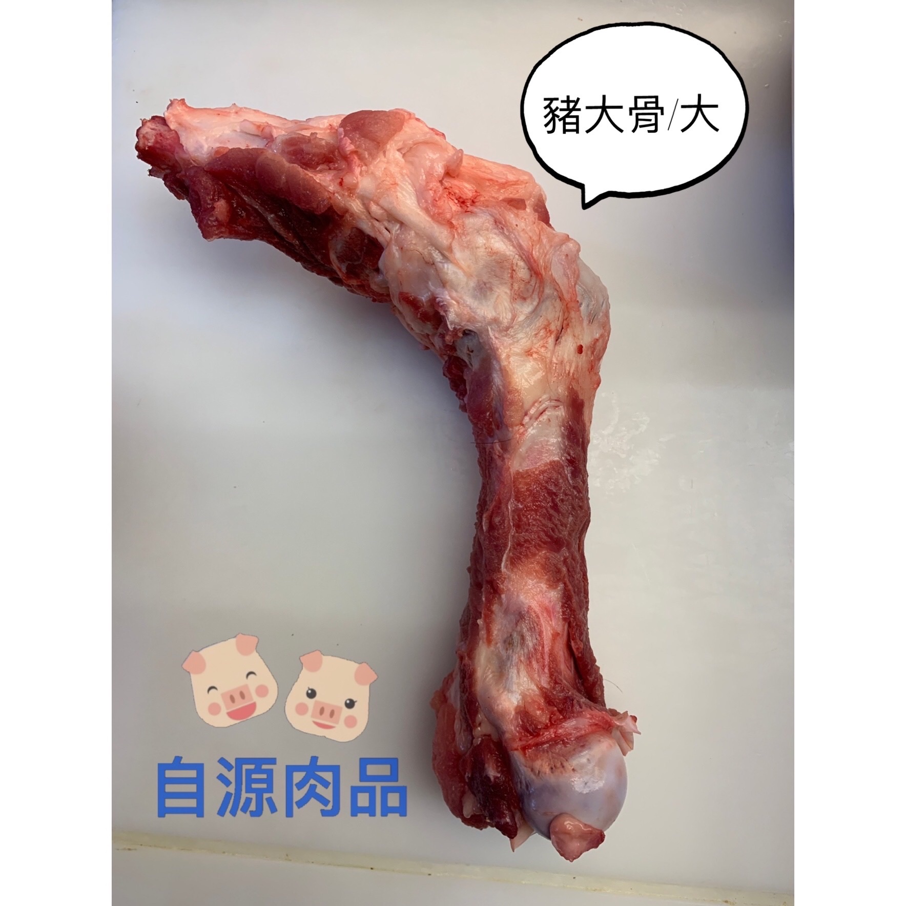 溫體豬大骨（大支/小支）燉湯
