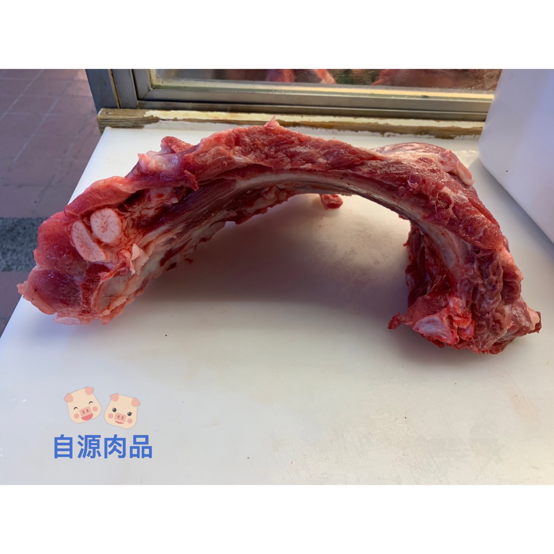 溫體脥心排骨、前腿排骨/煮湯、燉