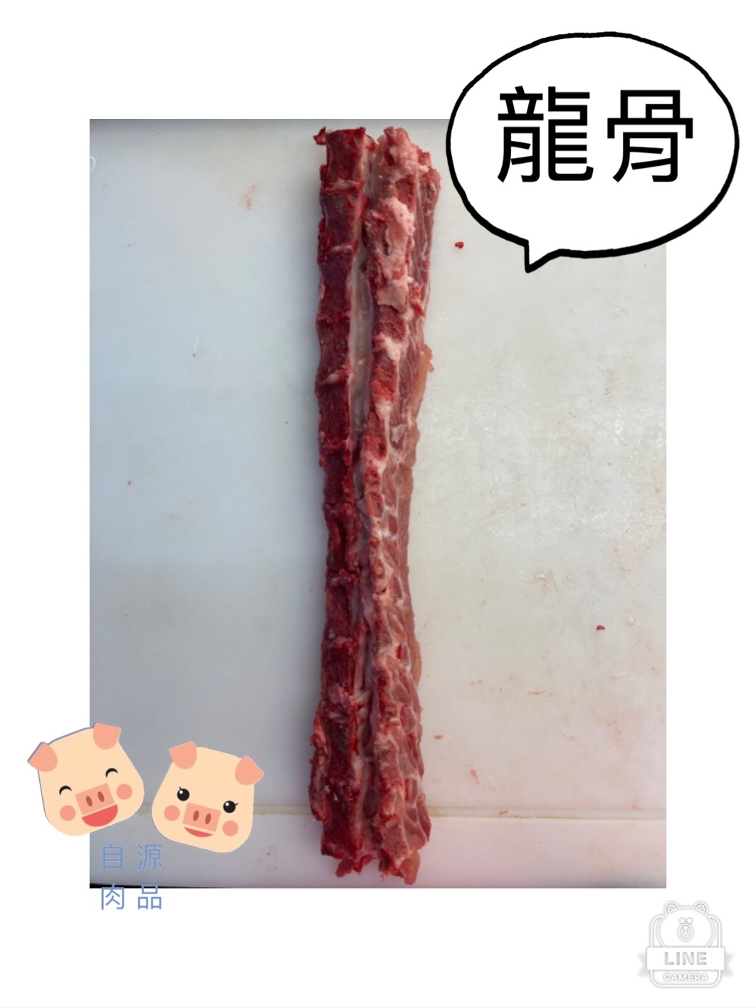 龍骨/脊椎骨