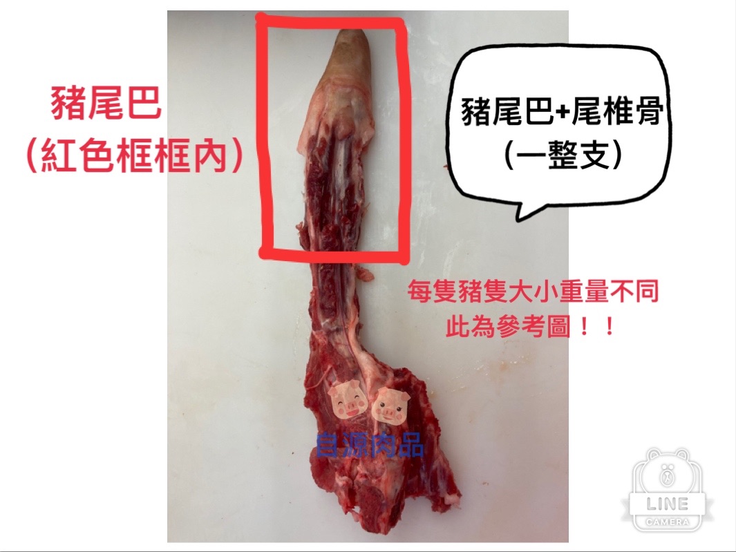 （每日限量）豬尾巴/豬尾巴+尾椎骨/紅燒、燉、湯、滷