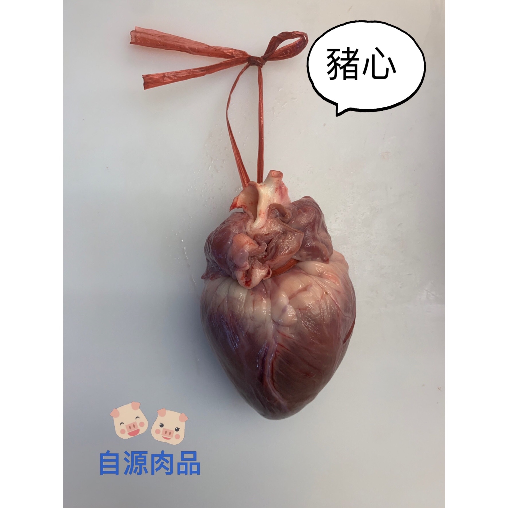 溫體豬心
