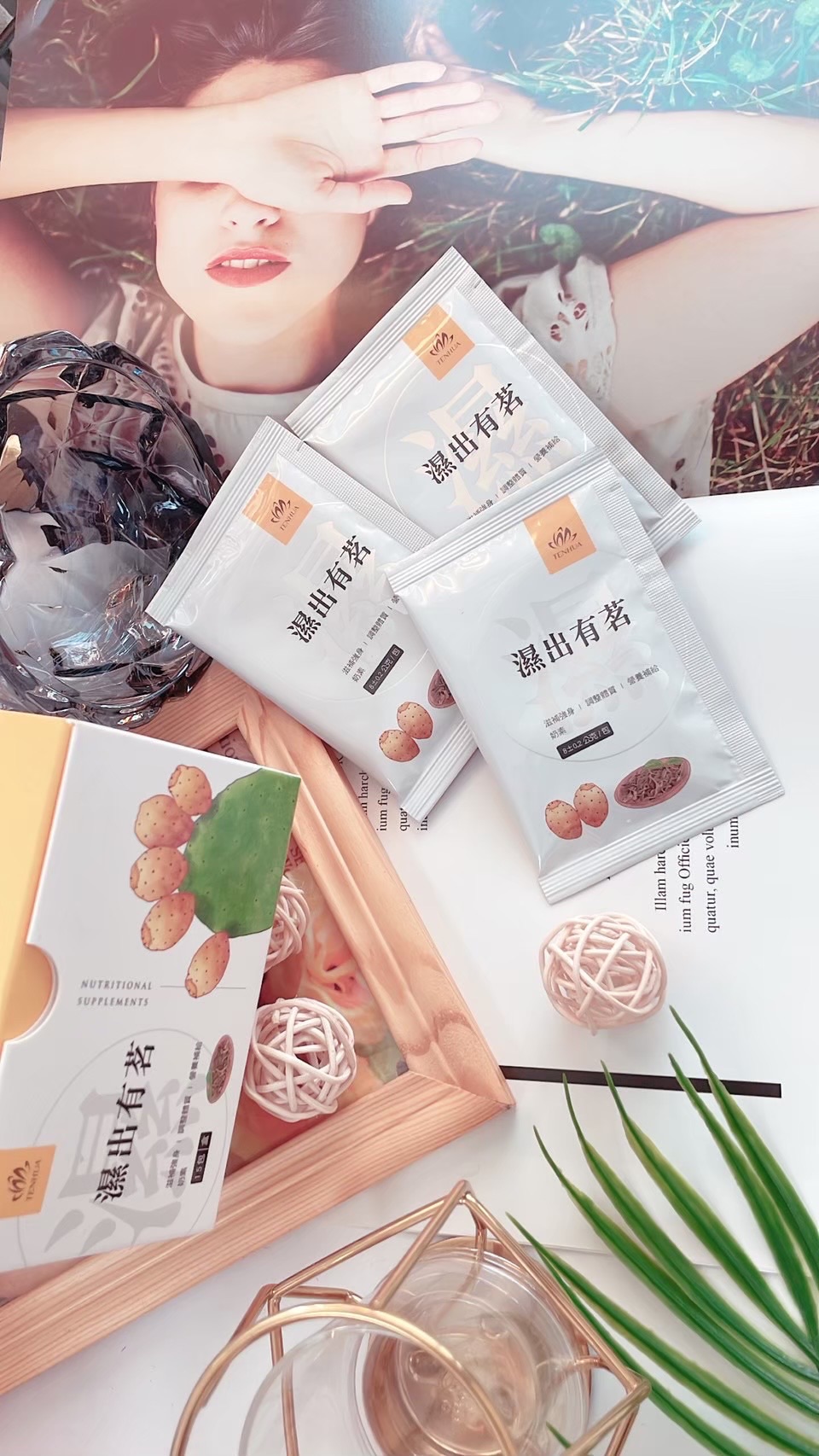 除濕茶