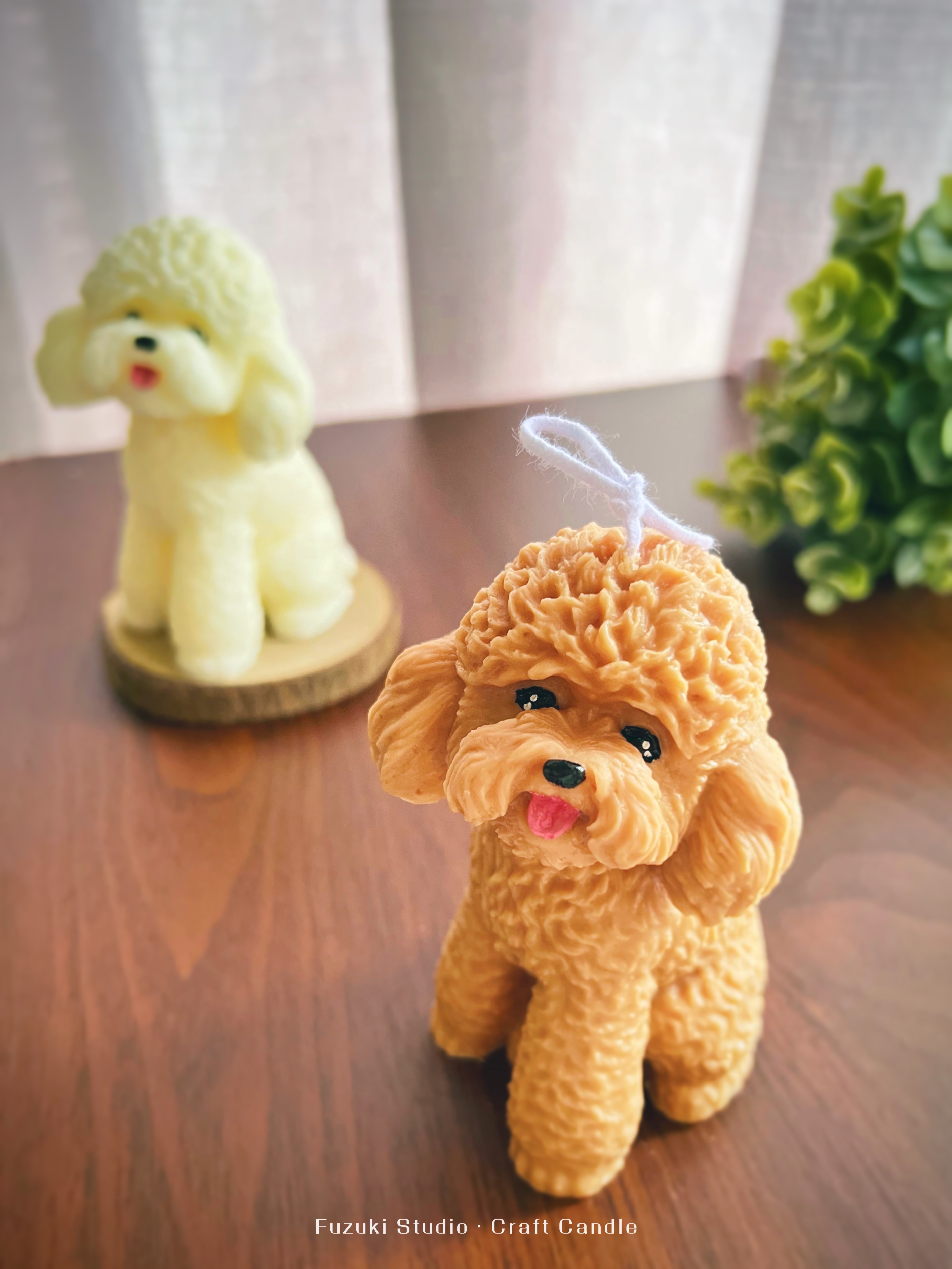 乖巧貴賓狗坐姿蠟燭