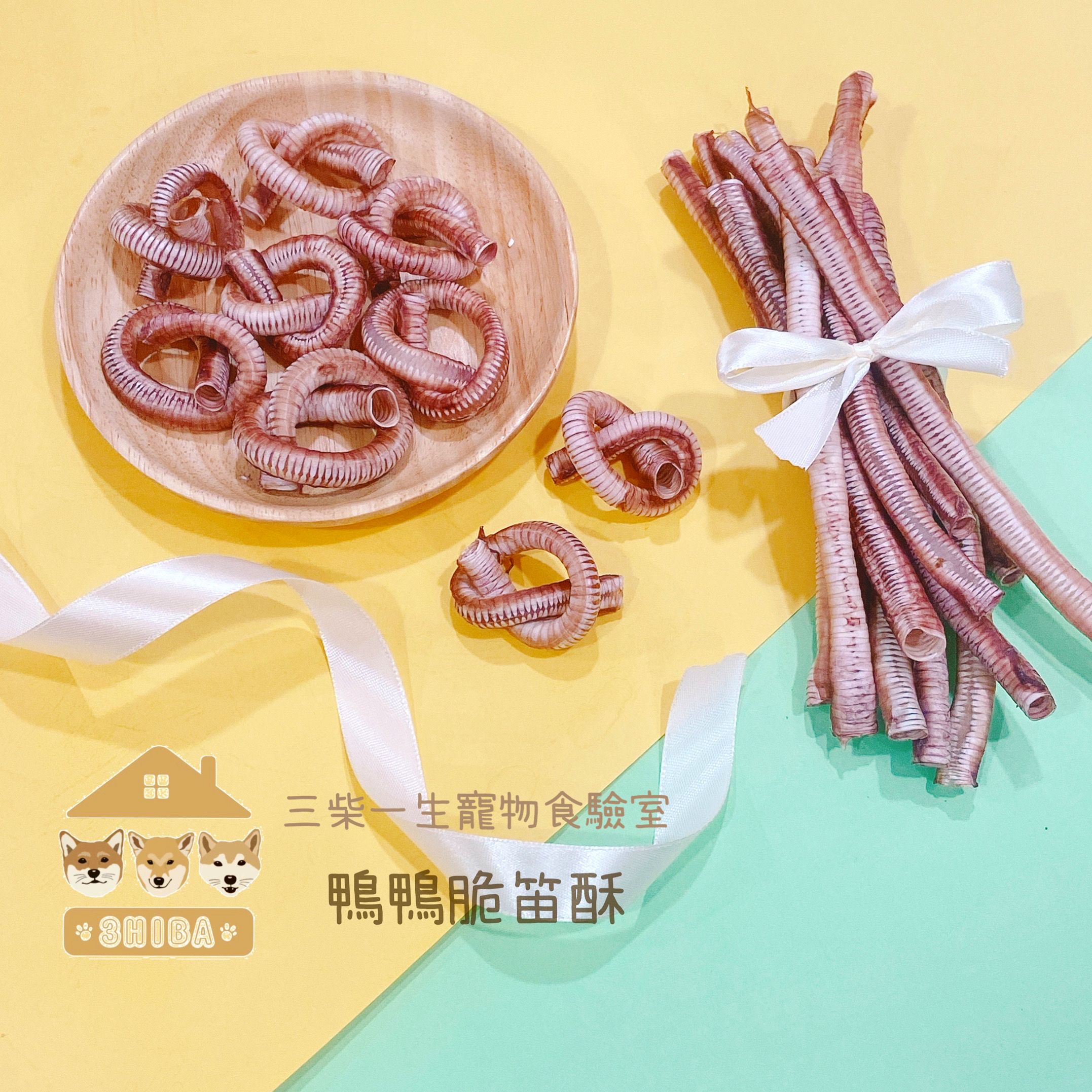 鴨氣管