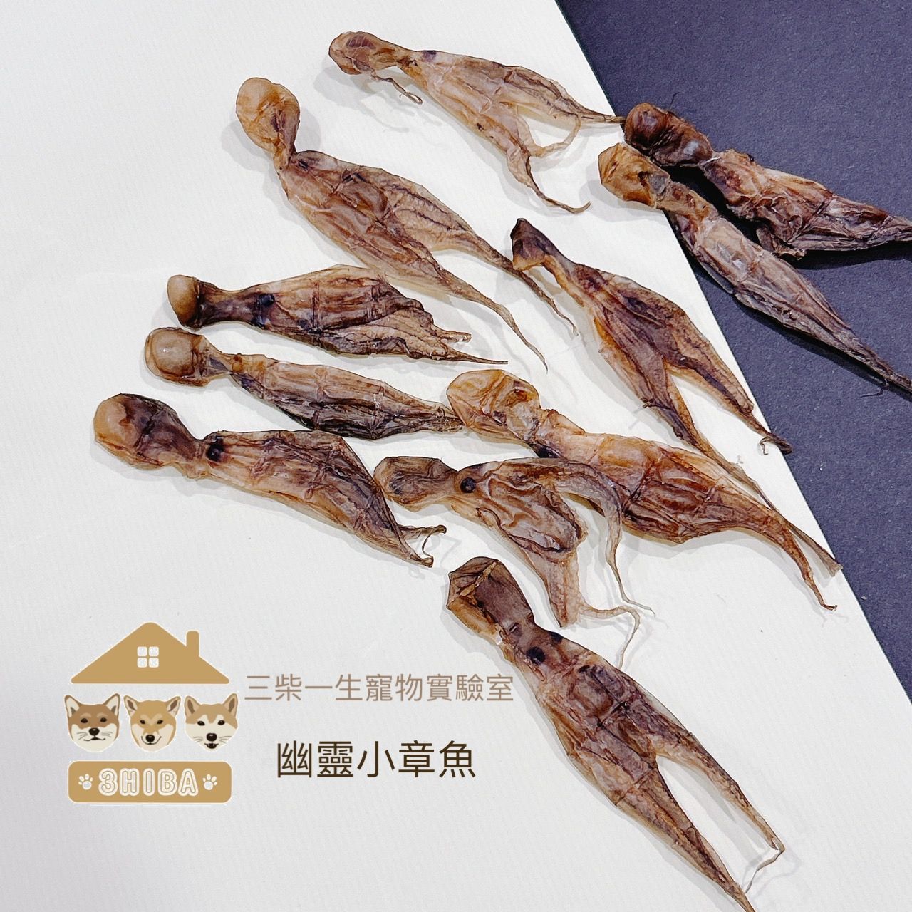 幽靈小章魚