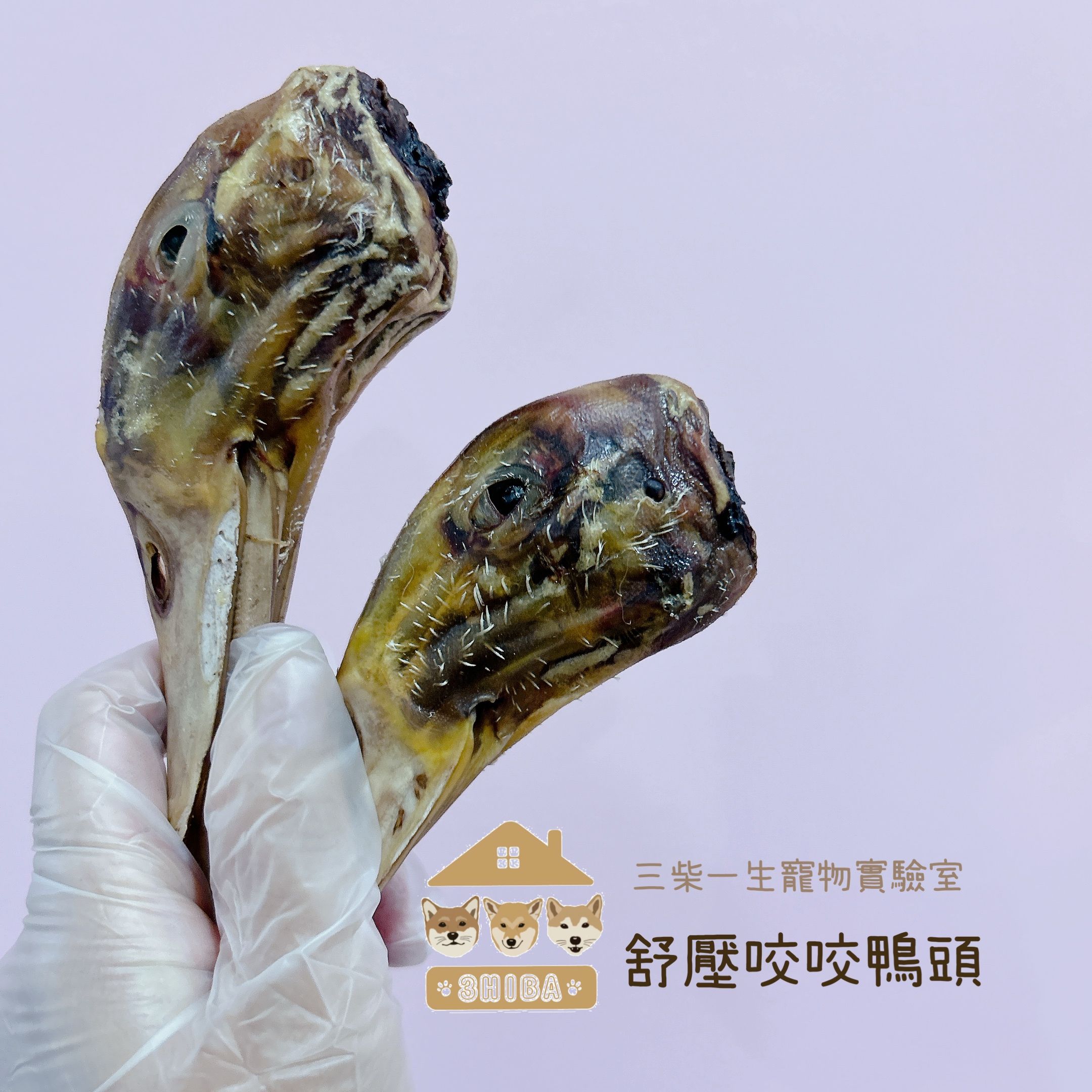咬咬鴨頭