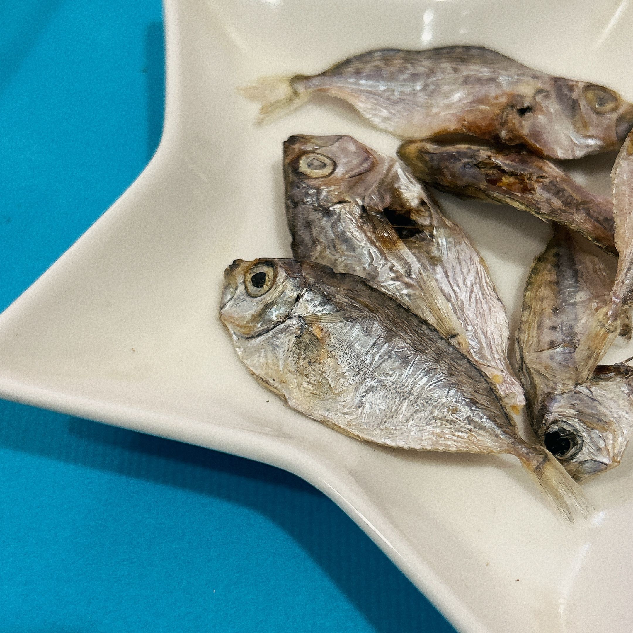 🐶三柴一生🐶香酥小金錢/寵物零食/手工零食