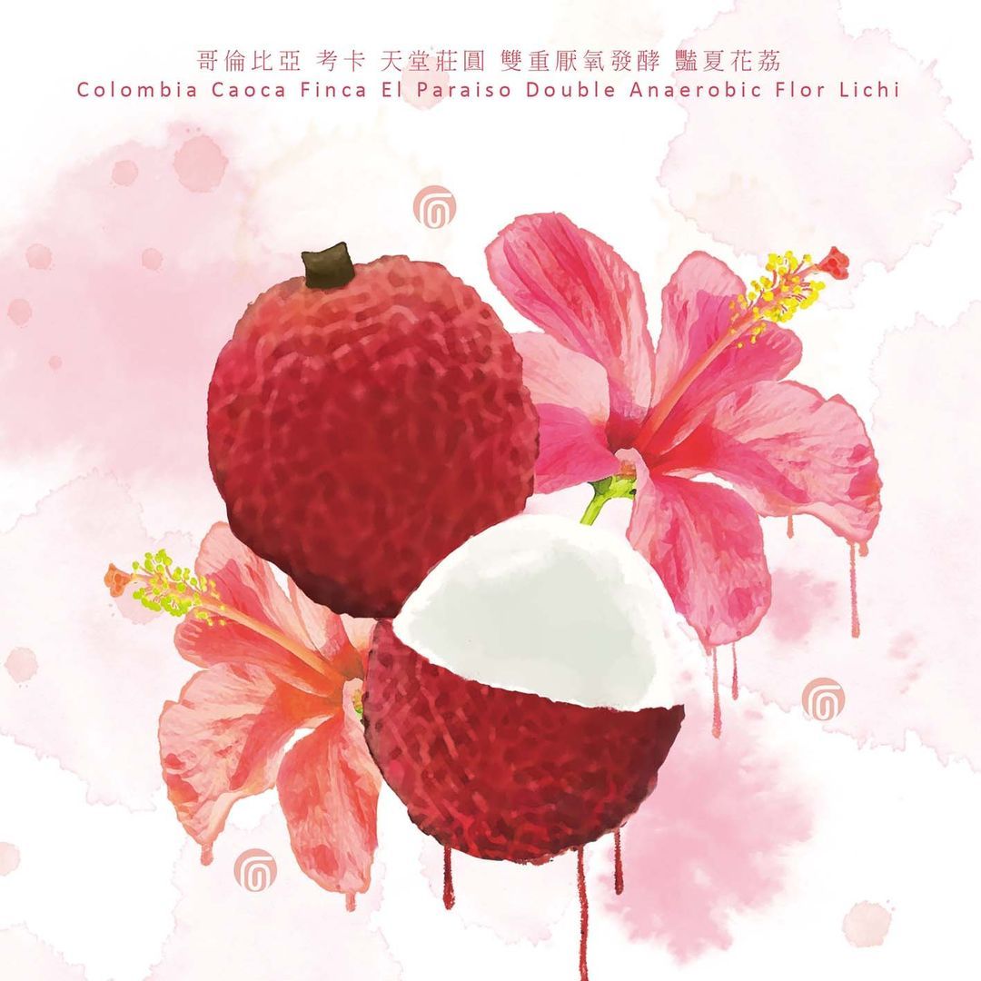 哥倫比亞 考卡省 天堂莊園 雙重厭氧 豔夏花荔