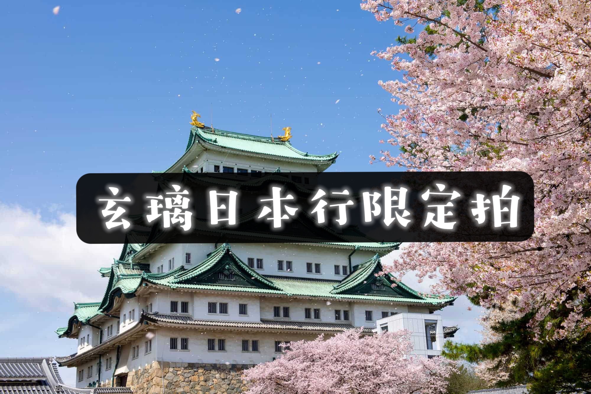 3/10-3/15🦭限定名古屋拍立得🦭