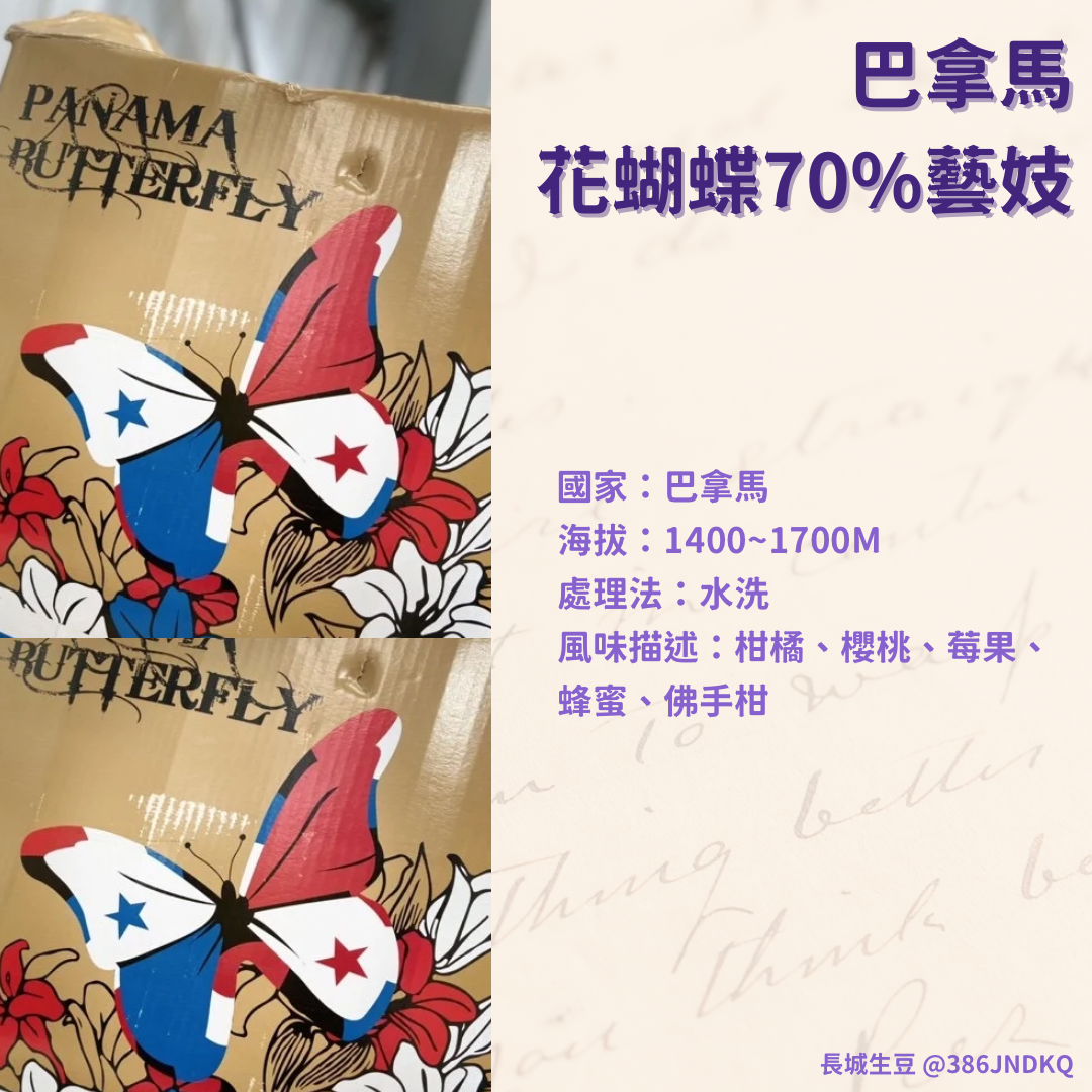 【巴拿馬】花蝴蝶70%藝妓