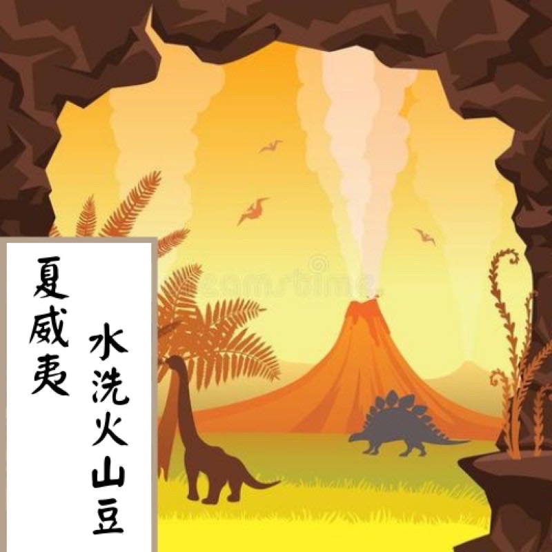 豆桑生豆｜夏威夷 火山圓豆 水洗