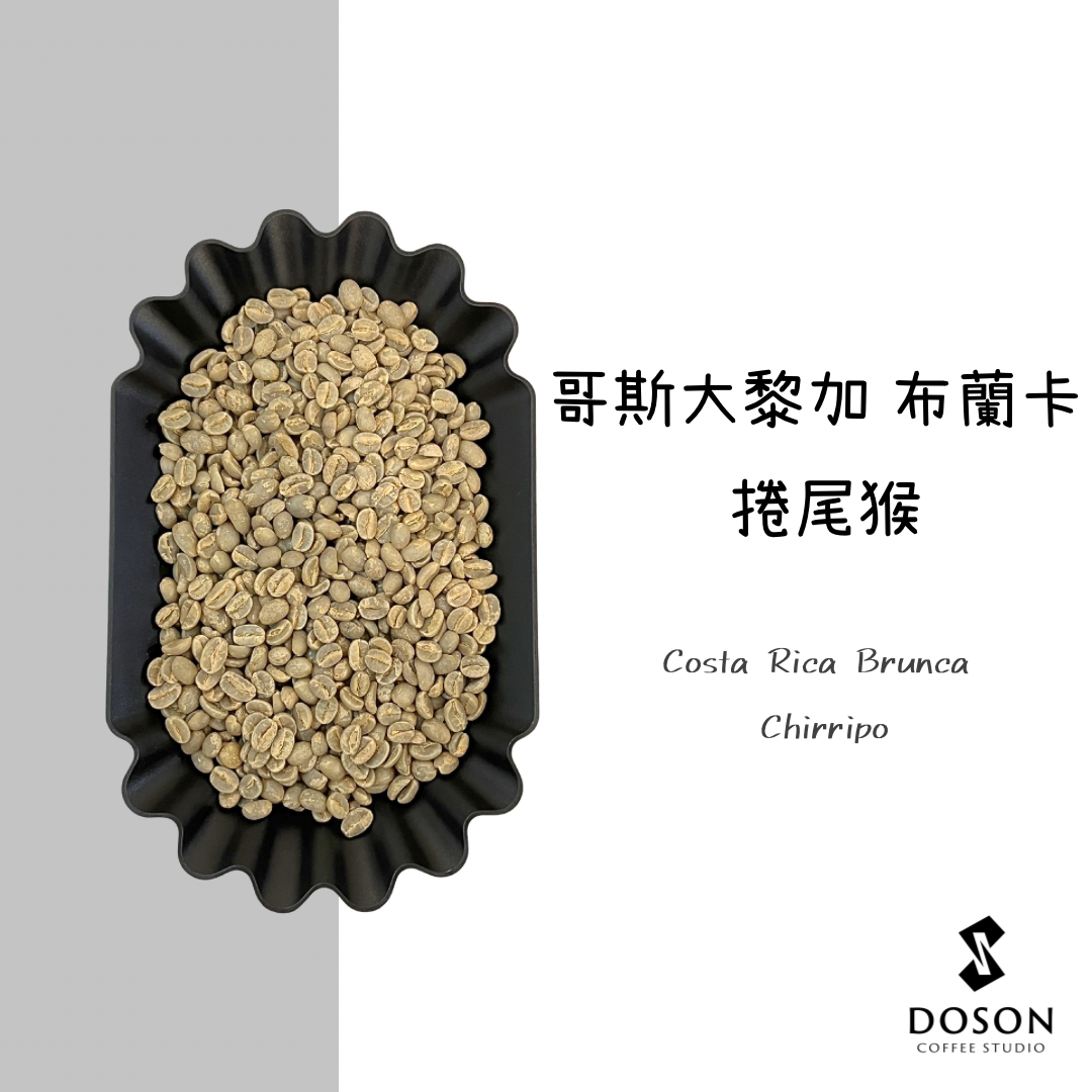【哥斯大黎加】捲尾猴 商業豆 水洗
