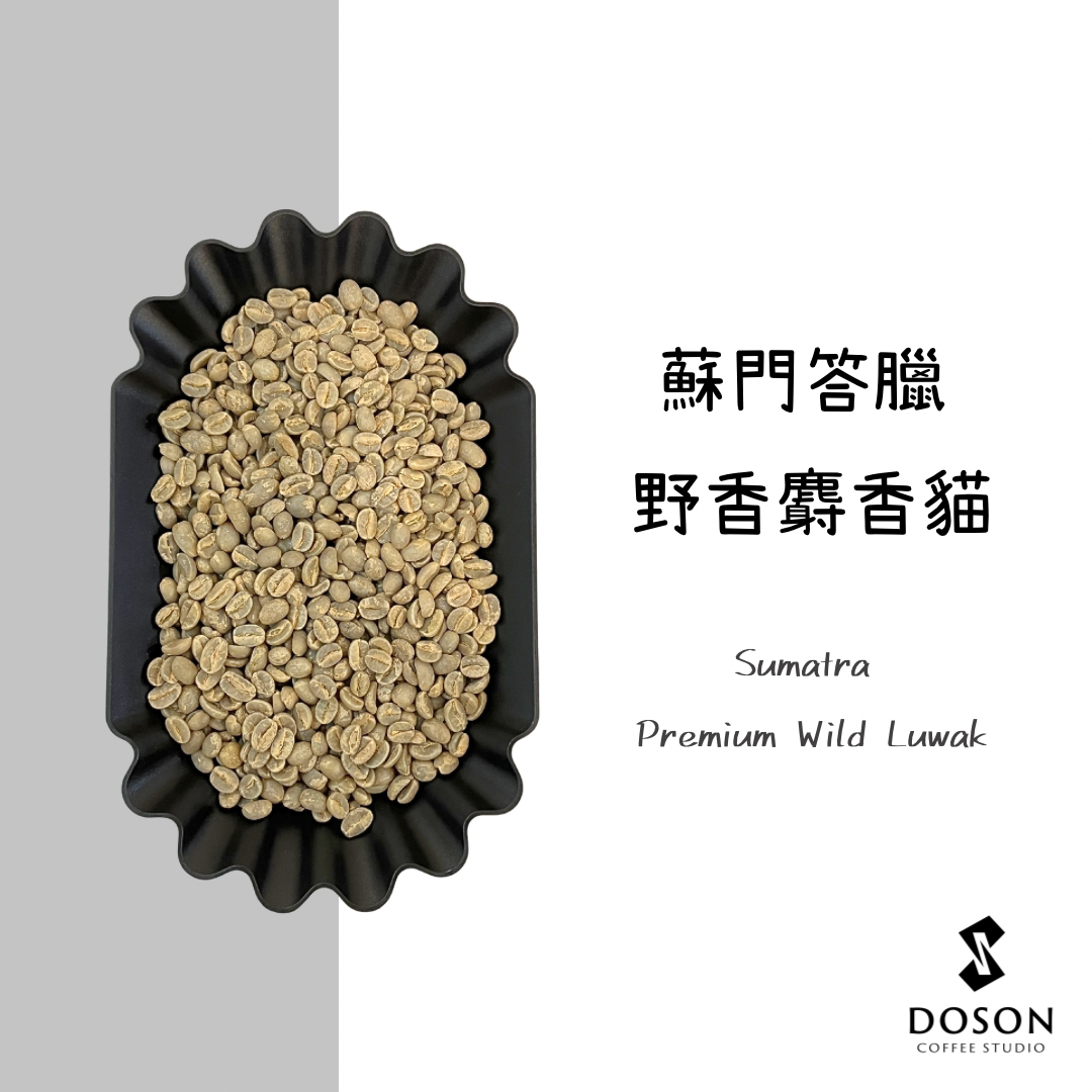 【蘇門答臘】野生麝香貓 水洗