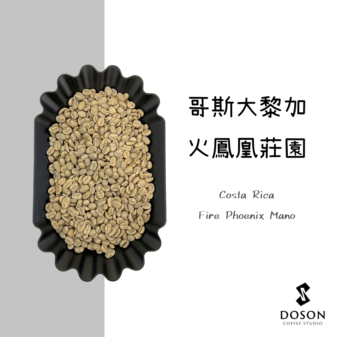 豆桑生豆｜哥斯大黎加 火鳳凰莊園 厭氧日曬