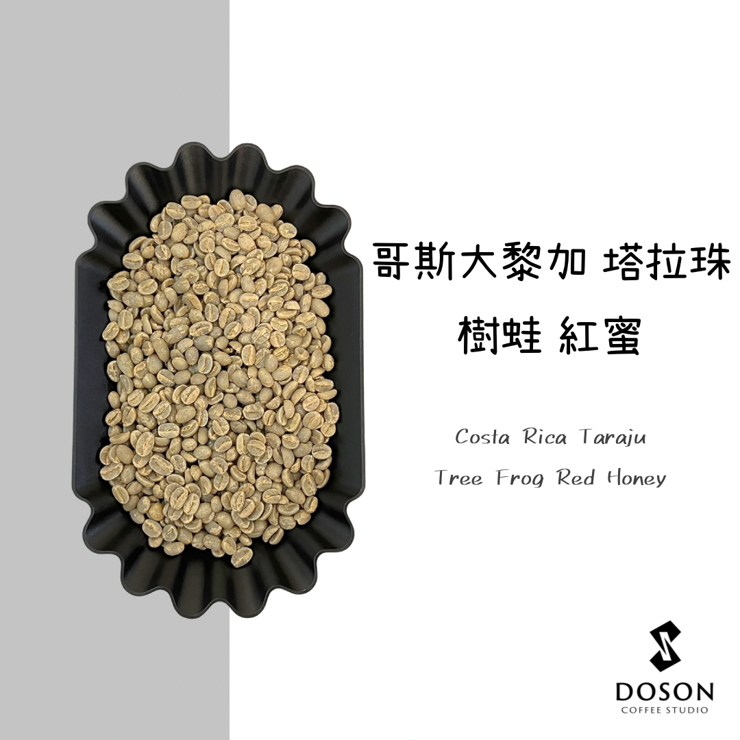 【哥斯大黎加】樹蛙 紅蜜