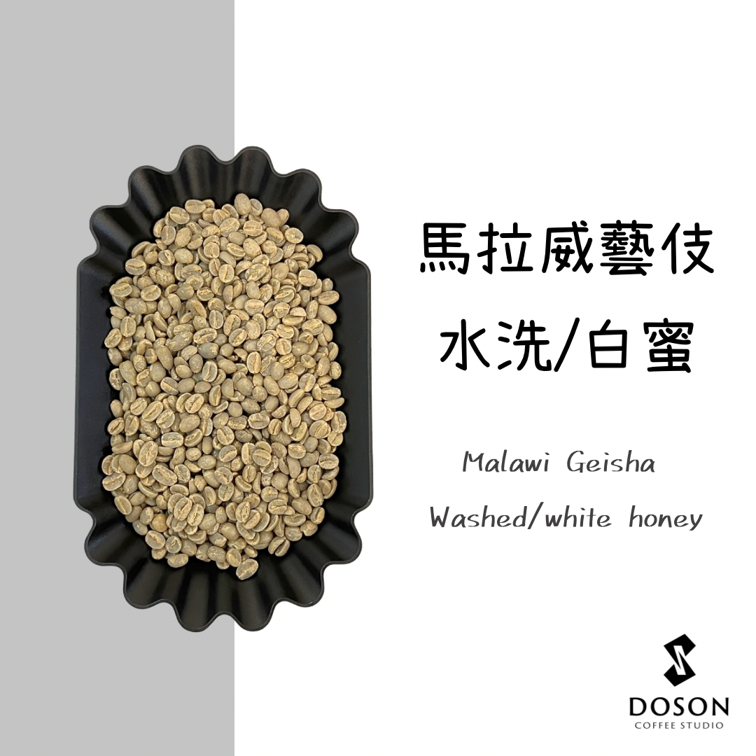 馬拉威藝妓 密蘇庫山脈 水洗/白蜜