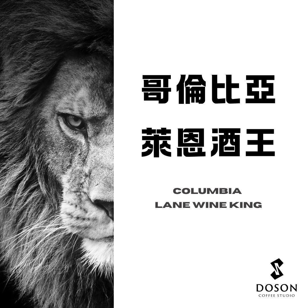 【豆桑獨家】哥倫比亞 萊恩酒王 聖荷西莊園