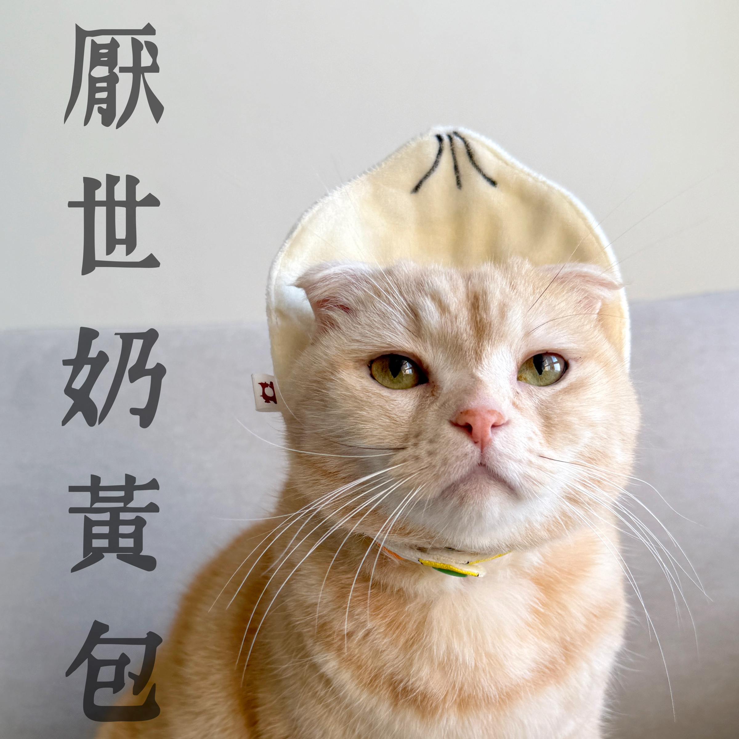 厭世奶黃包雙面穿戴領巾口水巾