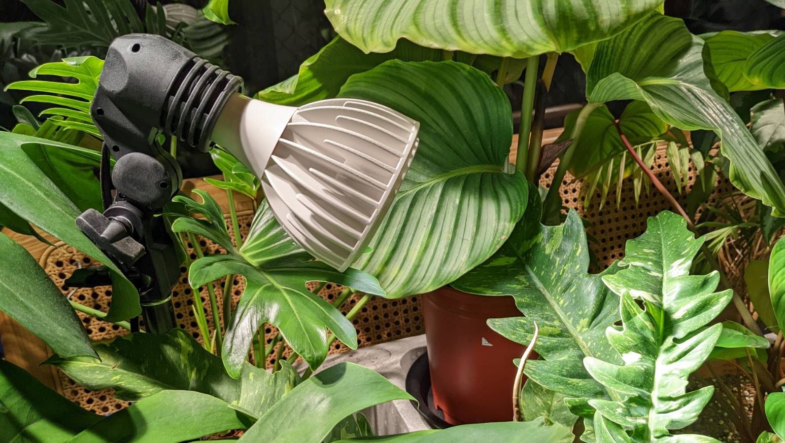 台灣現貨 倍力生LED全光譜植物生長燈