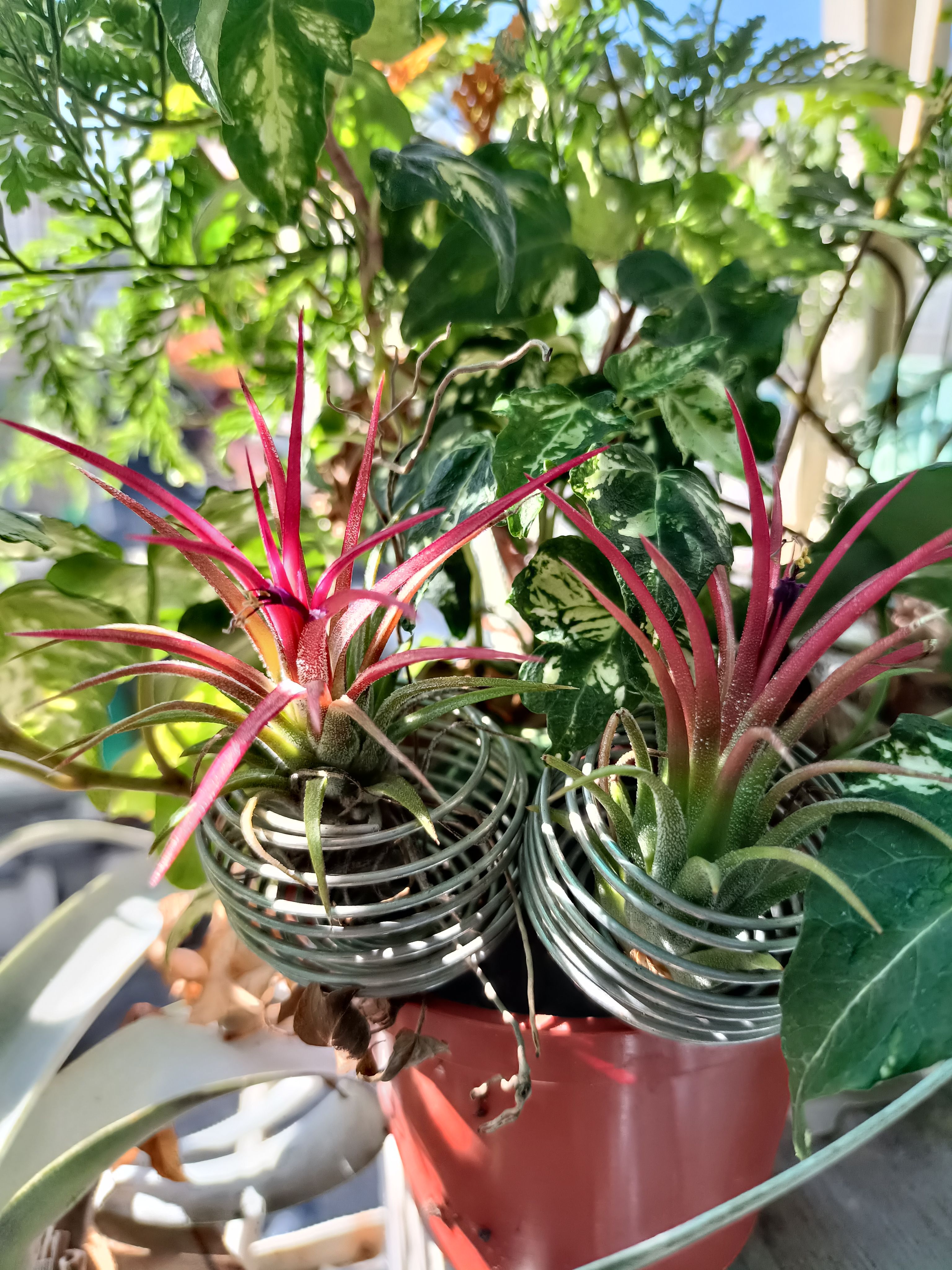 高質感不銹鋼肥料盒