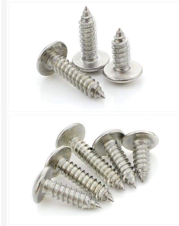 不銹鋼鹿角蕨上板螺絲