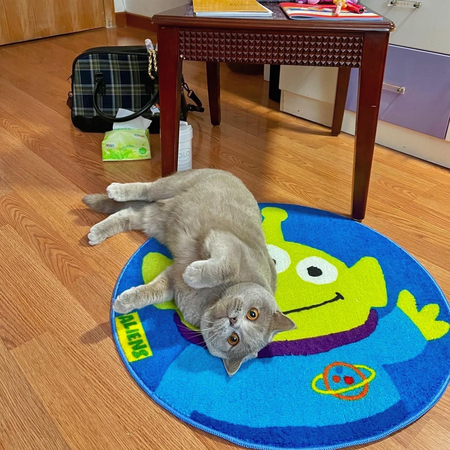 三眼怪 正版授權 地毯