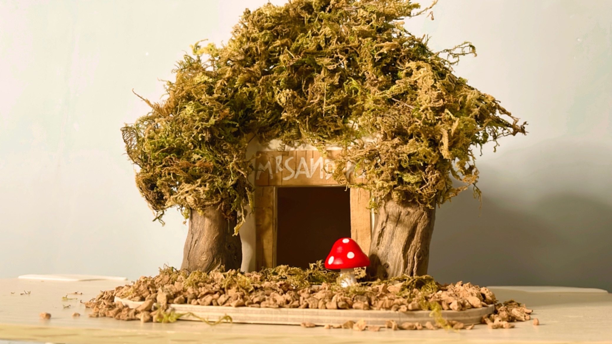 打造小熊維尼樹屋🌲