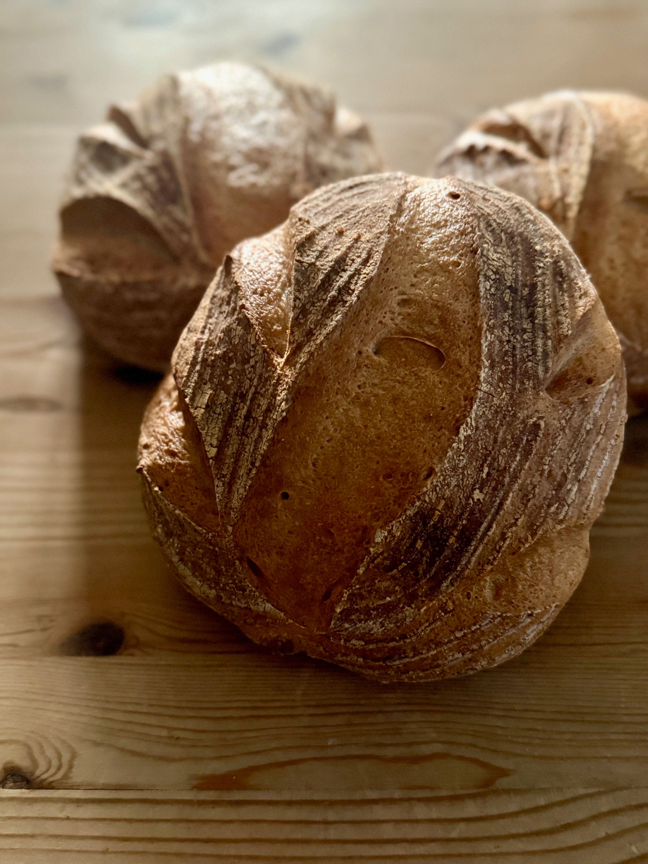 無鹽版。小稻農的糙米大鄉村｜無鹽｜無麩質｜無糖無油｜本土米穀麵包