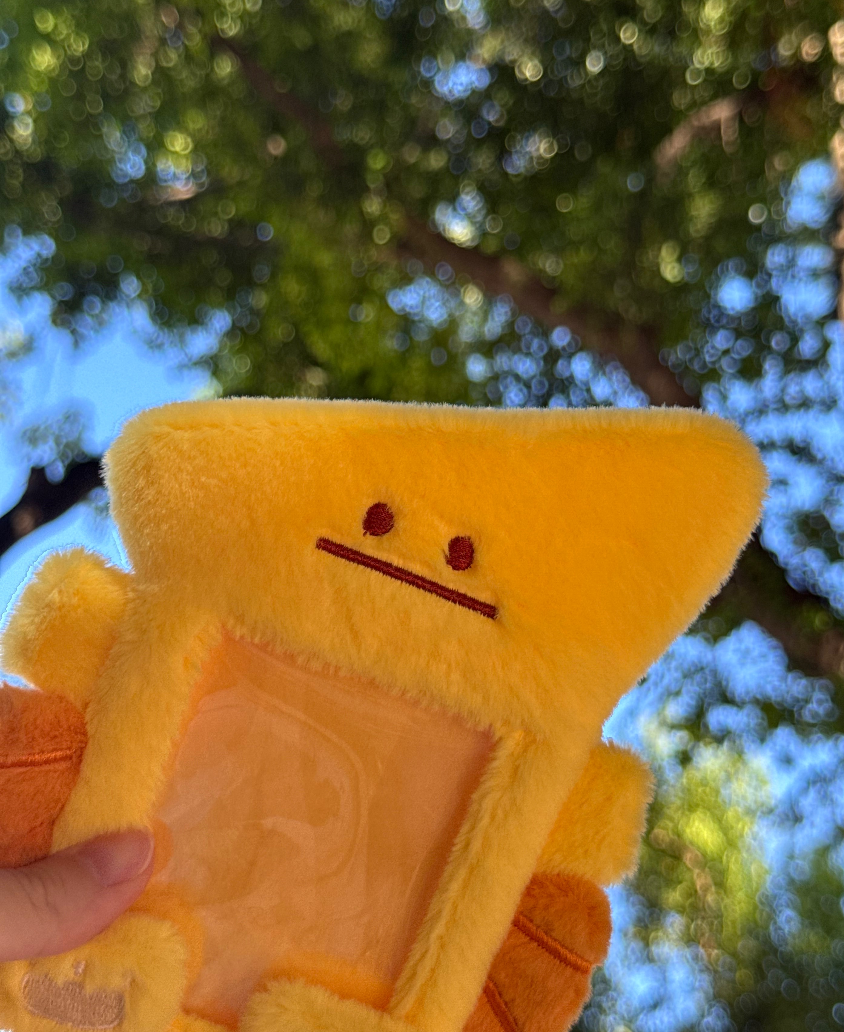 🌸恐呆の星球✨翼手龍卡套