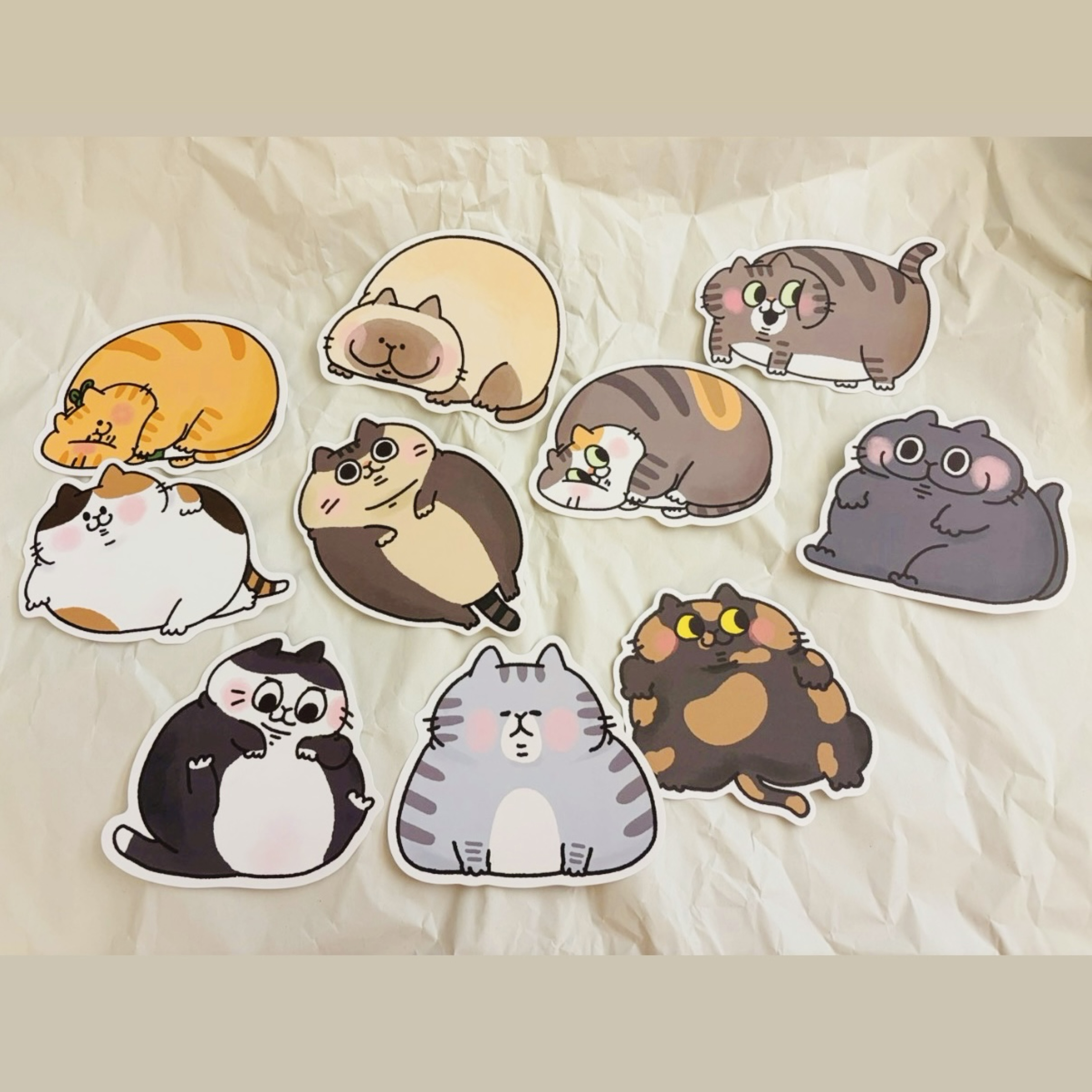 ［耍廢貓的日常］超肥貓明信片