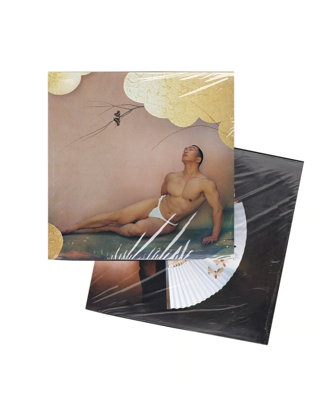 圣喆Shengzhe / 2026年月曆 （金版）